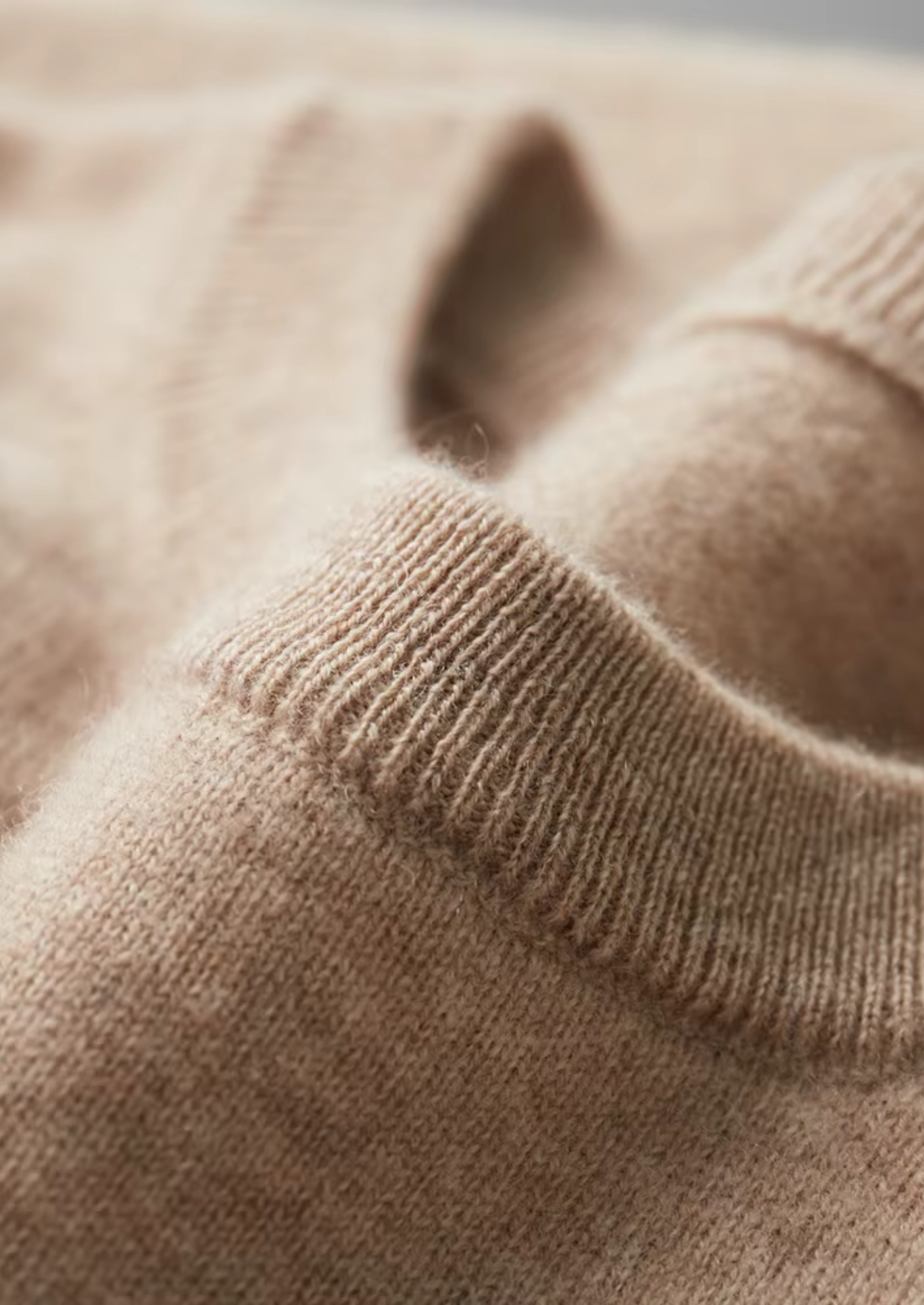 Dexter | Classic Crewneck T-Shirt | Everyday Essential with Effortless Style