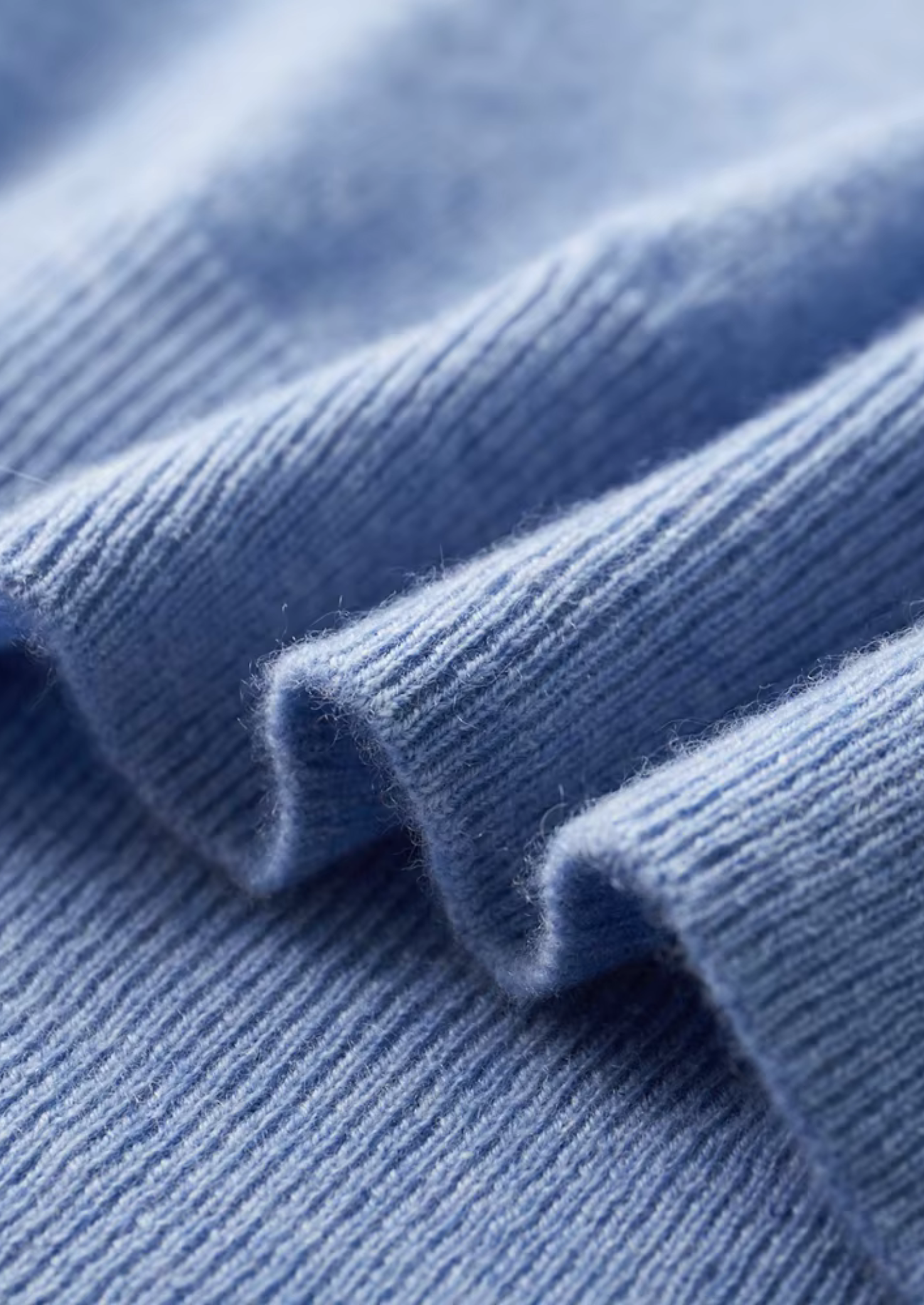 Dexter | Classic Crewneck T-Shirt | Everyday Essential with Effortless Style