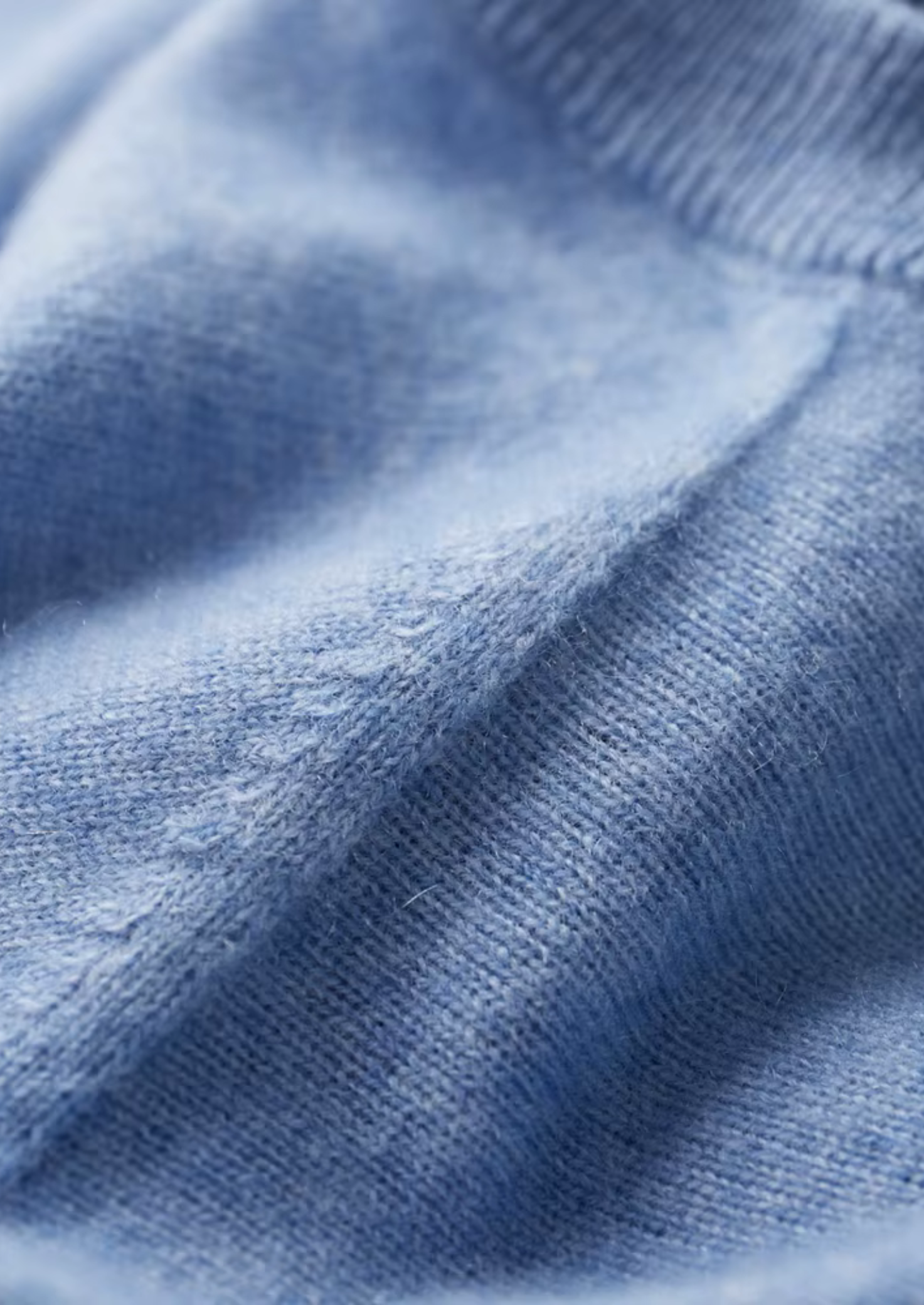Dexter | Classic Crewneck T-Shirt | Everyday Essential with Effortless Style