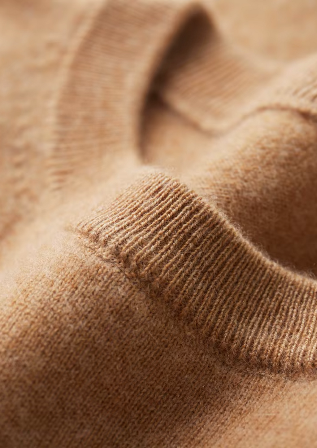 Dexter | Classic Crewneck T-Shirt | Everyday Essential with Effortless Style