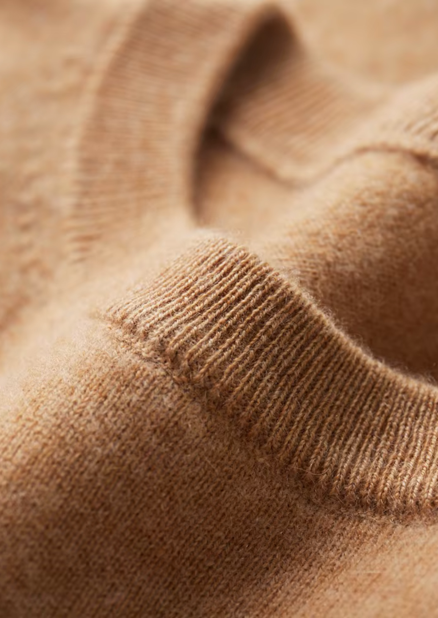 Dexter | Classic Crewneck T-Shirt | Everyday Essential with Effortless Style